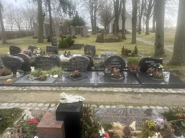 Friedfof-Beispielbild