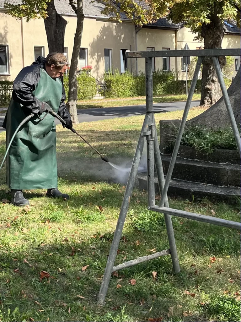Reinigung von Denkmälern und Statuen