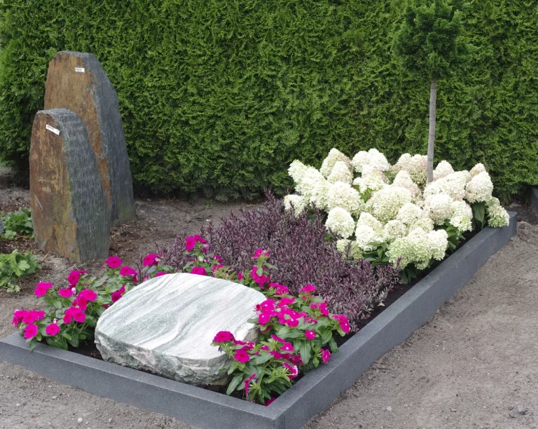 Moderne Grabbepflanzung Einzelgrab mit Rispenhortensien