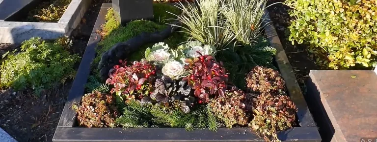 Urnengrab mit Herbstbepflanzung