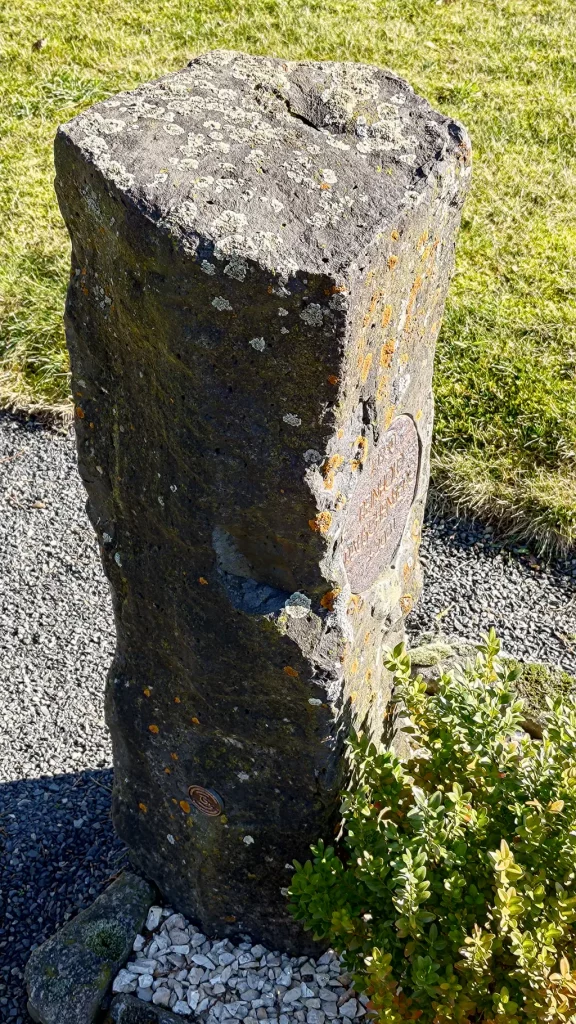 Ein mit Flechten bewachsener Naturstein