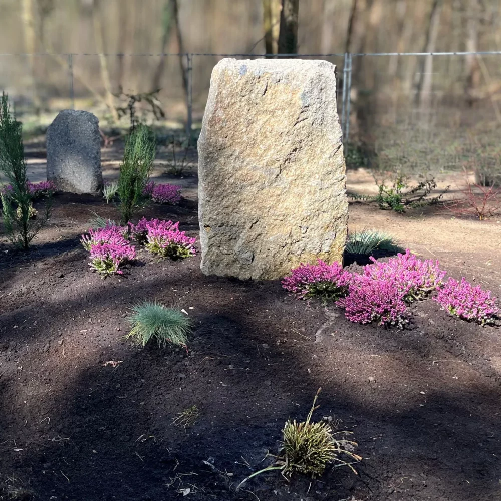 Gräbergemeinschaft Heide Beuchaer Findlinge