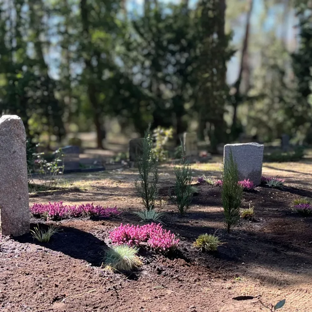 Gräbergemeinschaft Heide Beuchaer Findlinge