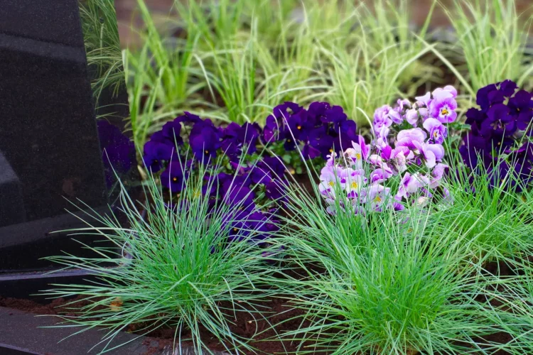 Urnengrab mit Stele modern bepflanzt