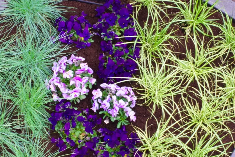 Urnengrab mit Stele modern bepflanzt