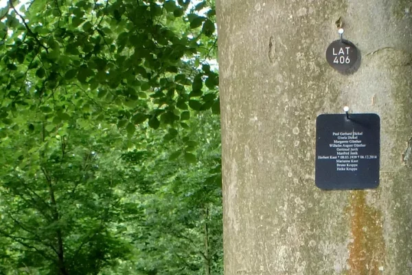 Waldfriedhof-Beispiel1